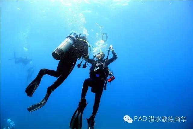 冰球突破游戏网站